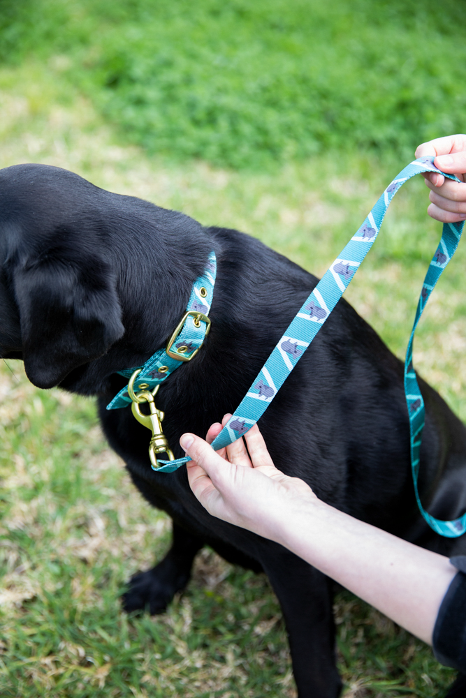 Anipal Dog Leash