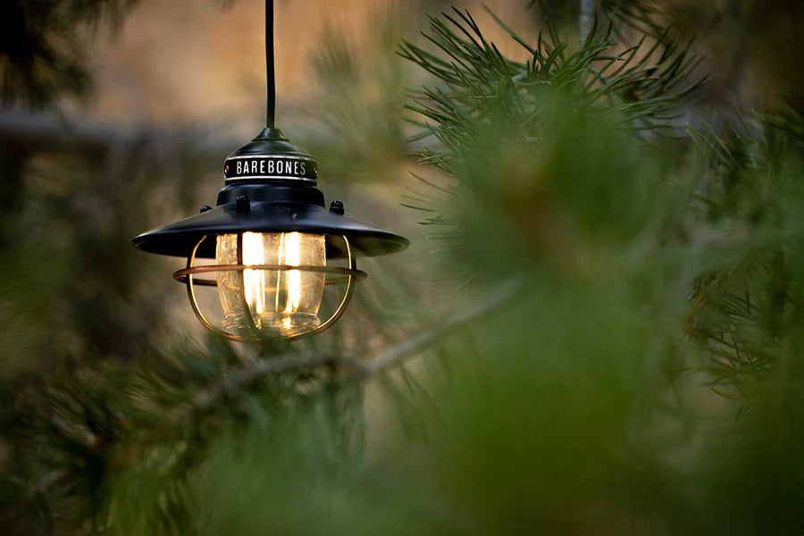 Edison Pendant Light