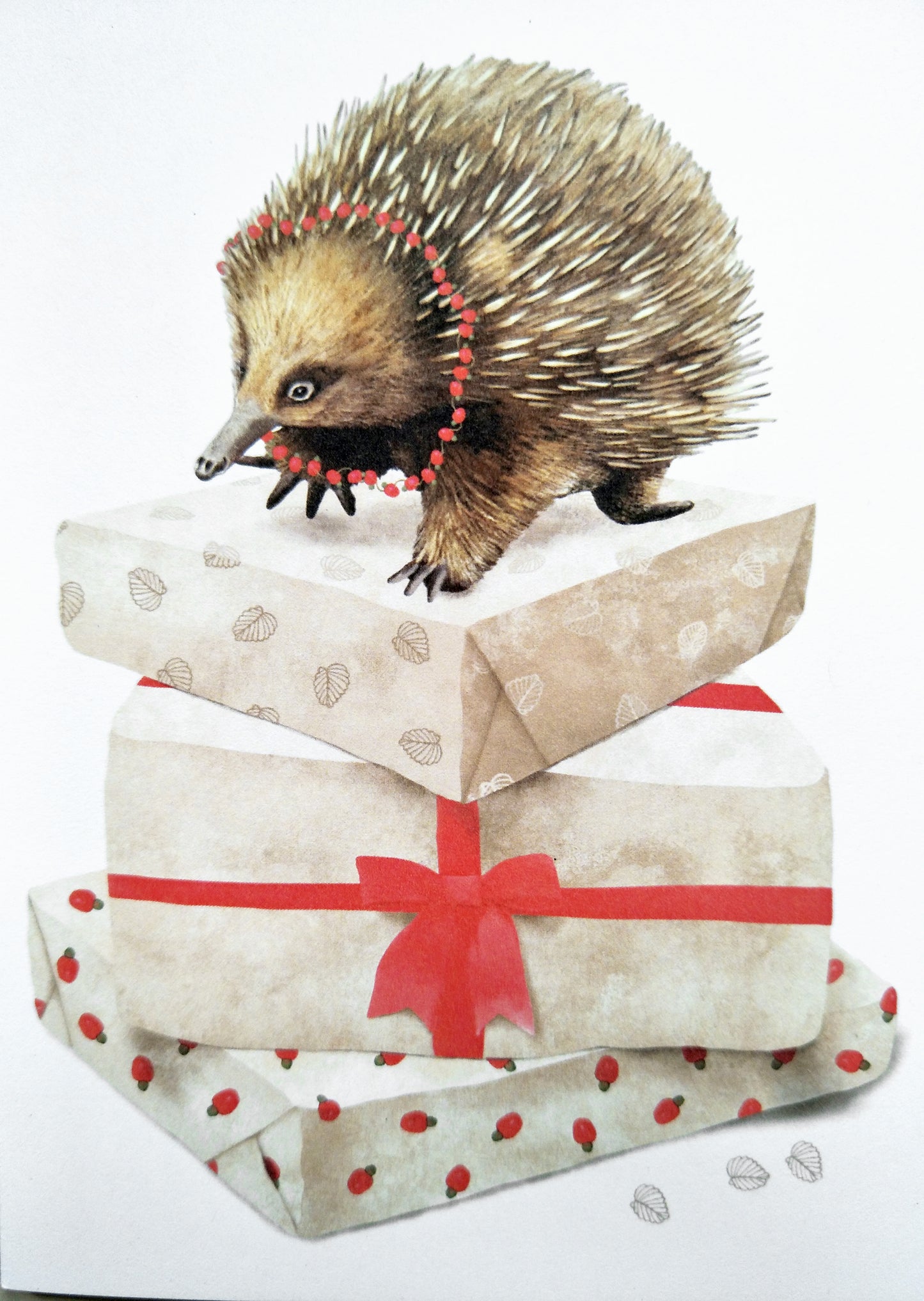 Tasmanian Wildlife Christmas Cards
