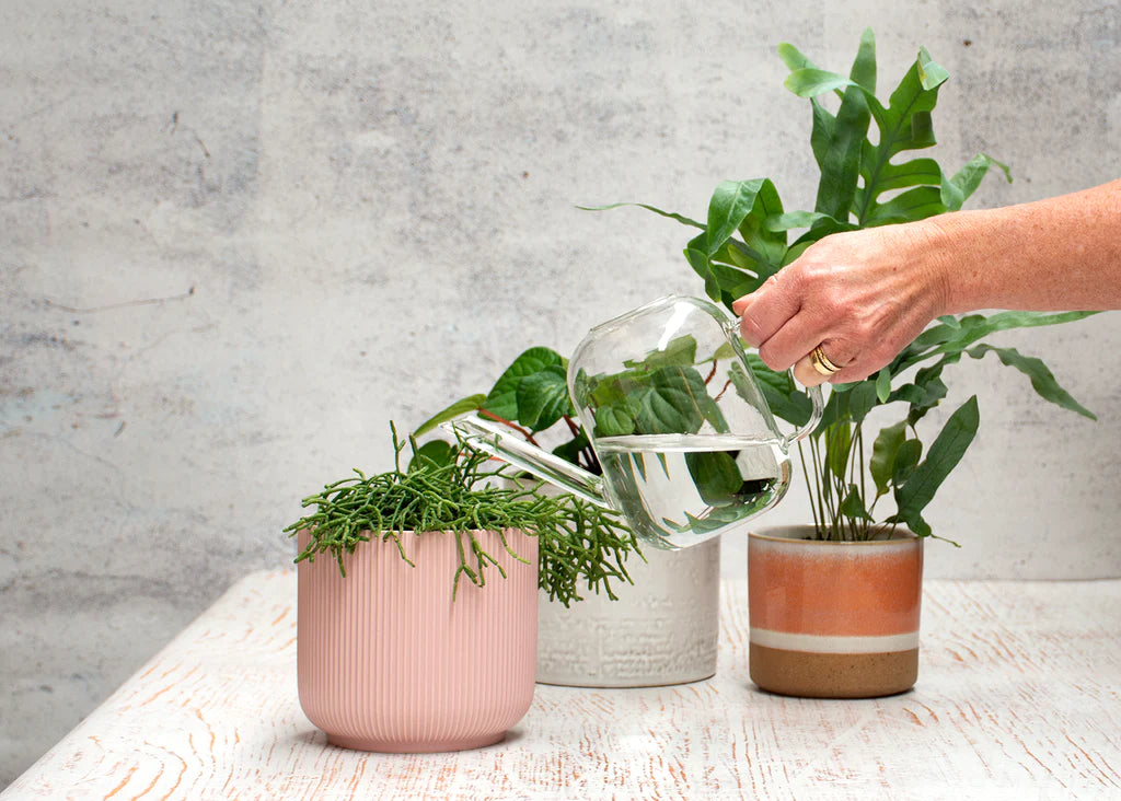 Glass Watering Can