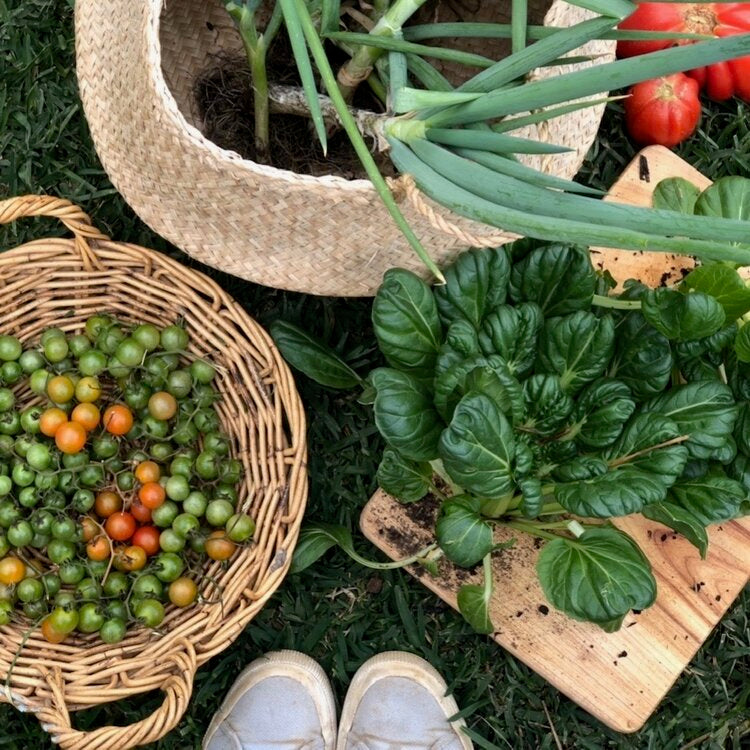 Salisbury Grange Kitchen Garden Seed Pack