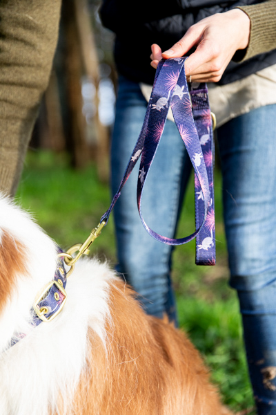 Anipal Dog Leash