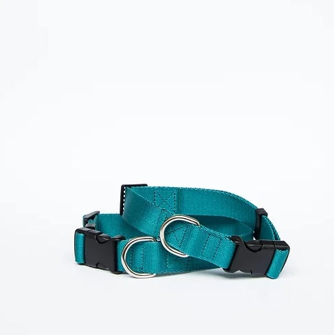 Anipal Dog Collar - Indian Ocean