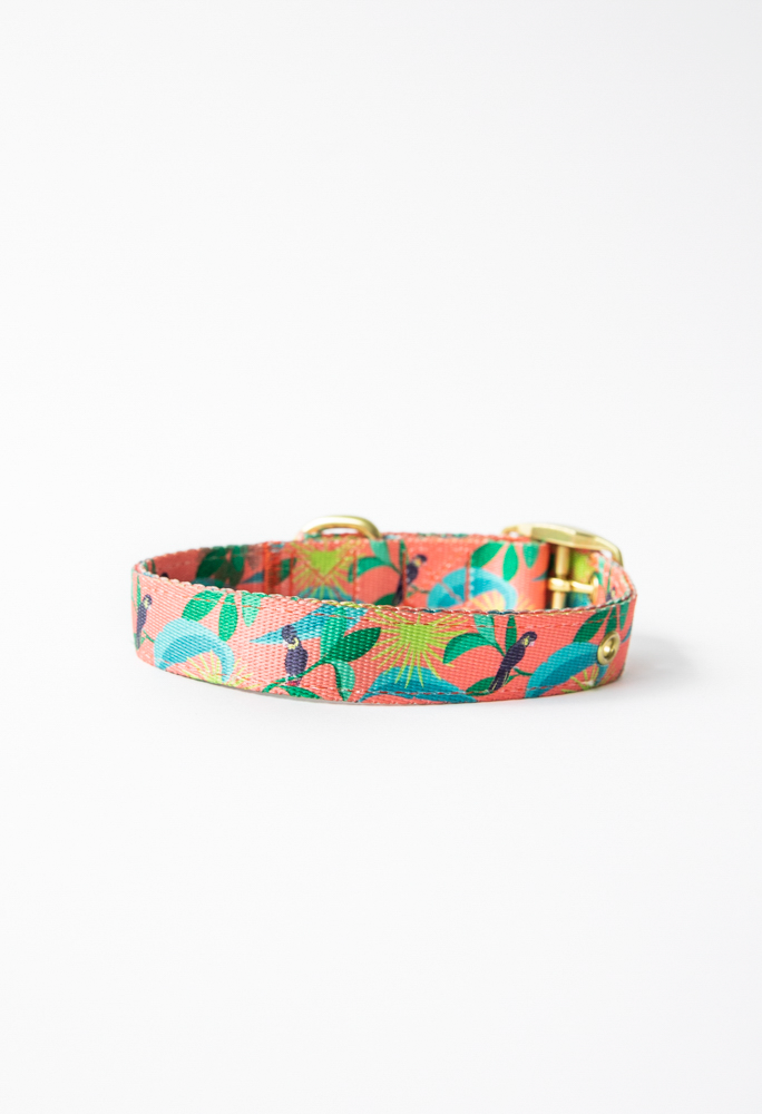Anipal Dog Collar - Black Cockatoo