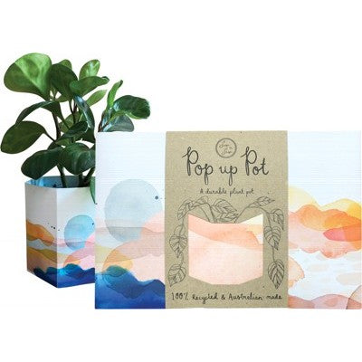 SowNSow Pop Up Pot Small