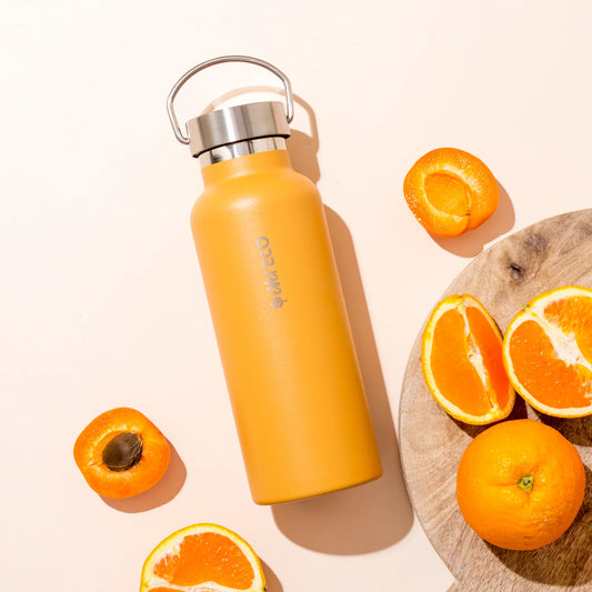 Ever Eco Insulated Drink Bottle (500ml)
