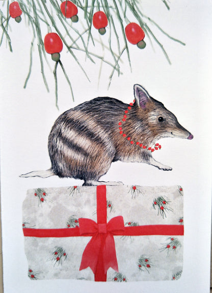 Tasmanian Wildlife Christmas Cards
