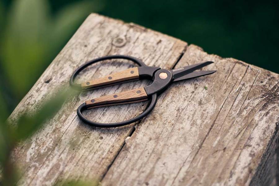 Scissors Small - Walnut