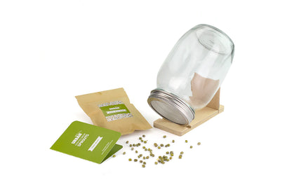 Sprout Jar Kit