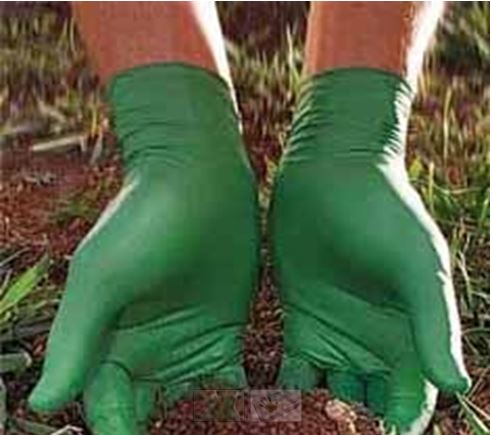 Biogone Biodegradable Disposable Gloves